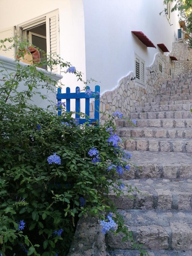 מריטימה Villa Marigiosa Salento מראה חיצוני תמונה