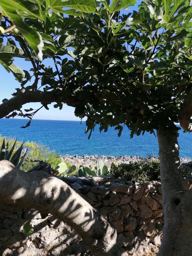 מריטימה Villa Marigiosa Salento מראה חיצוני תמונה