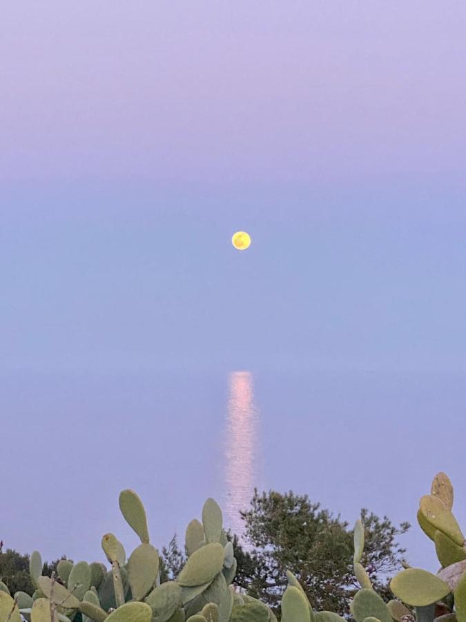 מריטימה Villa Marigiosa Salento מראה חיצוני תמונה