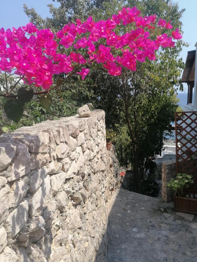 מריטימה Villa Marigiosa Salento מראה חיצוני תמונה